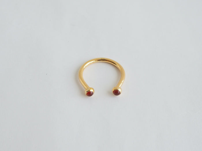 Jorge Morales Ring