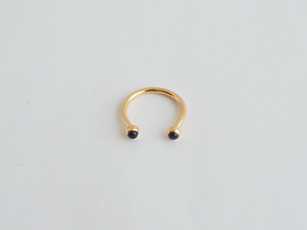 Jorge Morales Ring