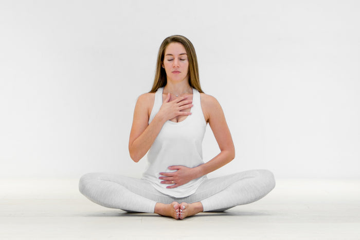 Postpartum Wellness Private Programme